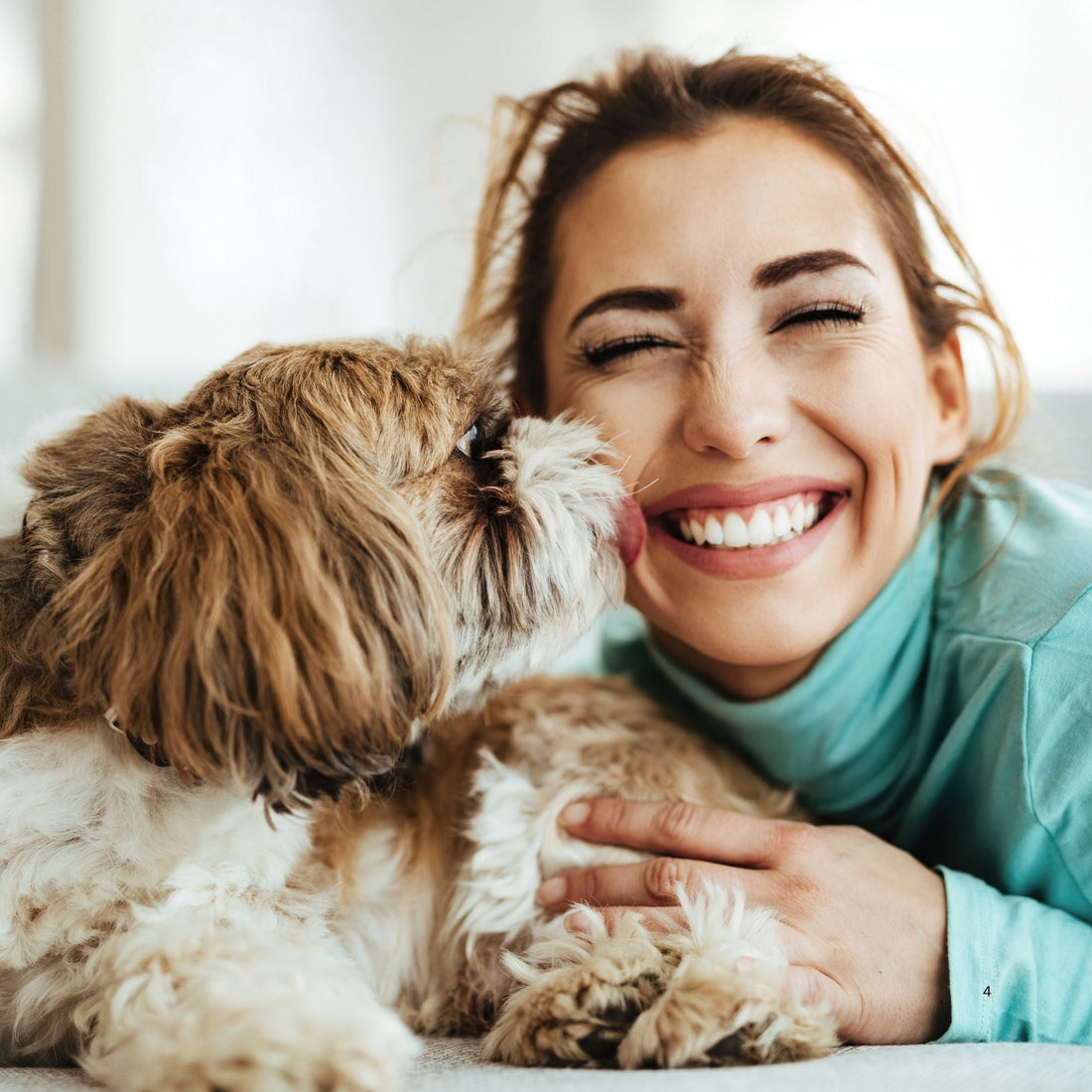 The Emotional Benefits of Owning a Pet: Science and Real-Life Experiences