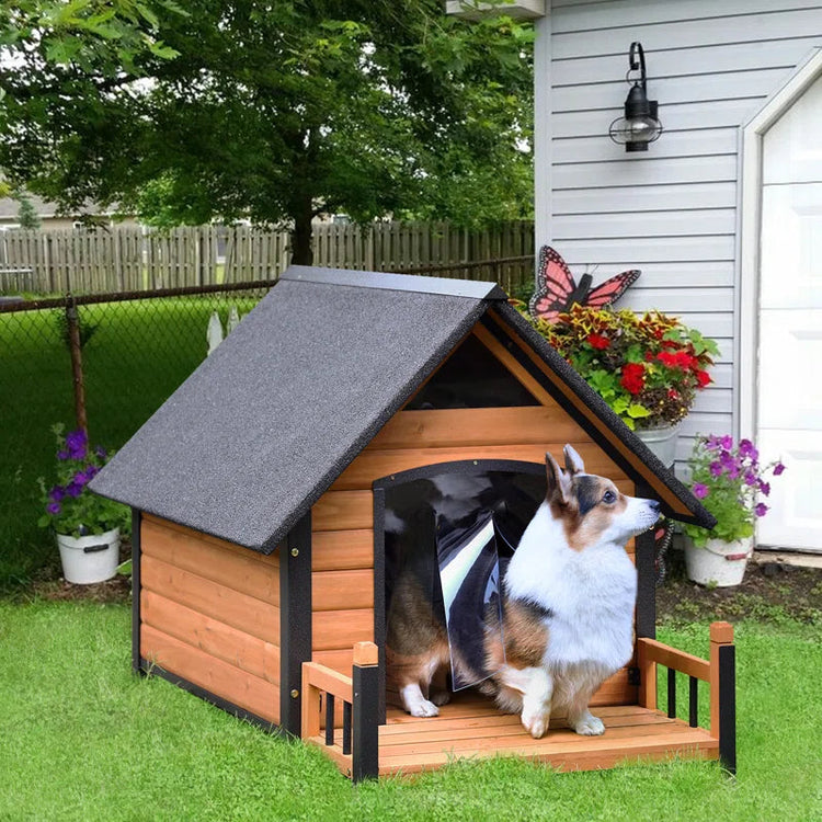 Dog house